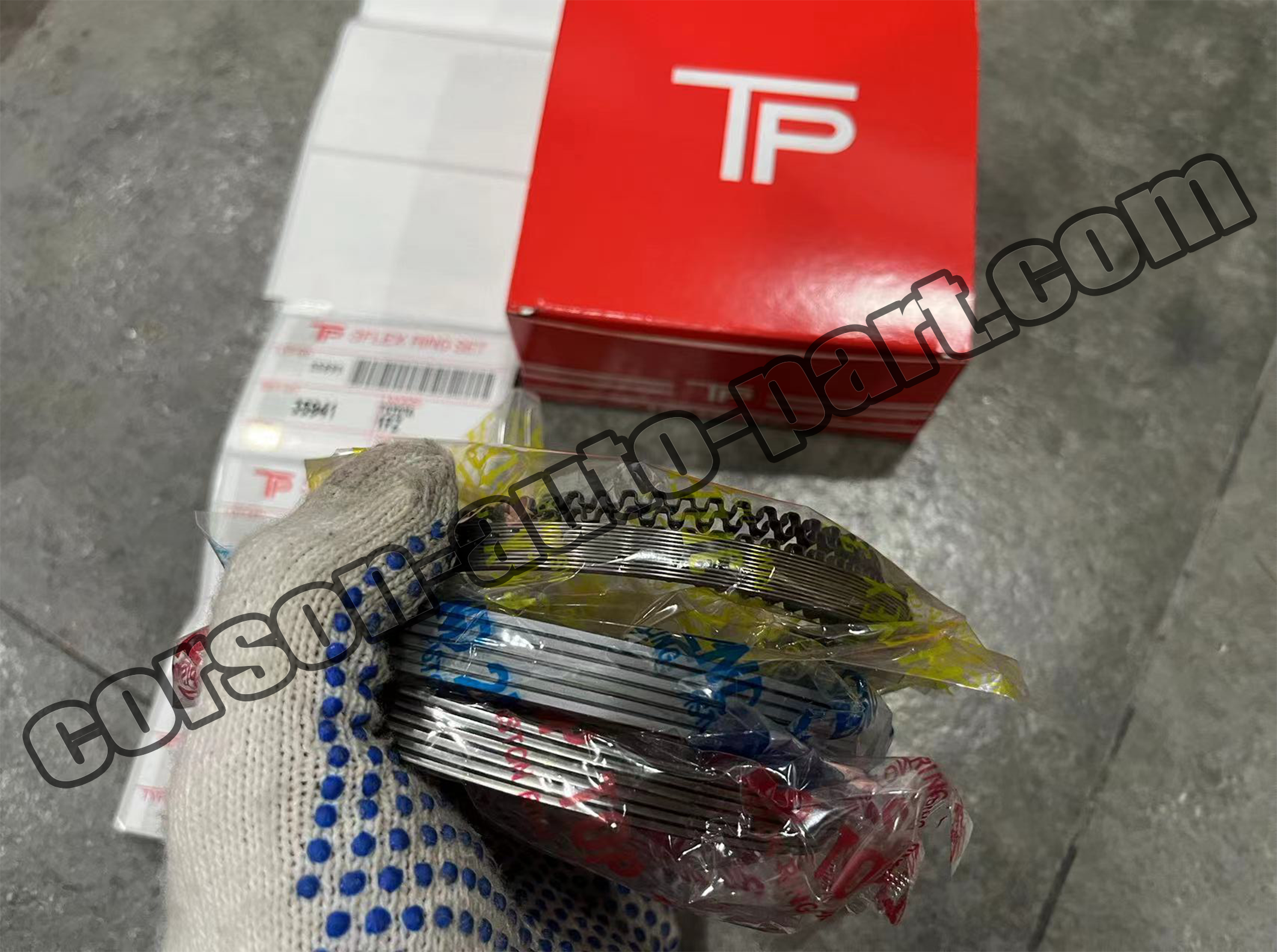 Toyota 1FZ 35941(TP) Piston Ring sets