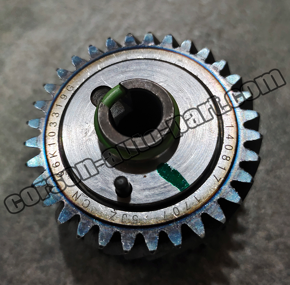 VOLKSWAGEN 06H103319Q Sprocket