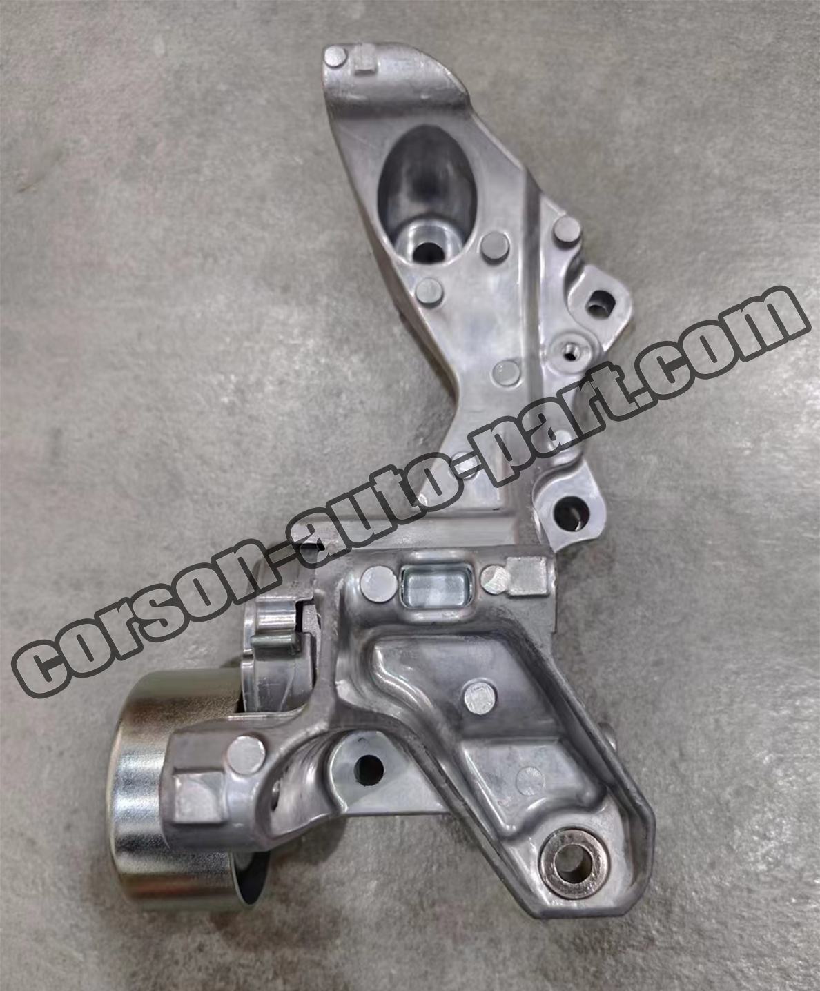 Nissan 11955-1HC1A Tensioner