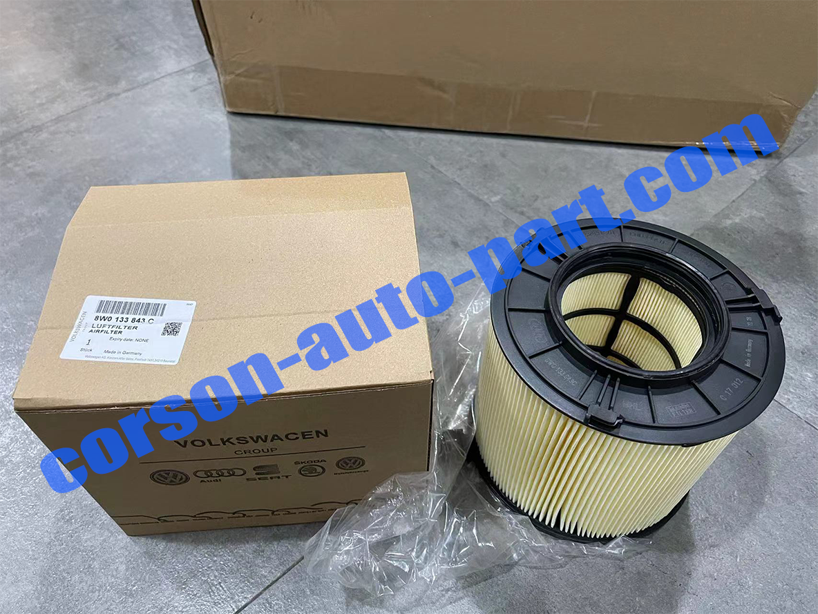 AIRFILTER 8W0133843C