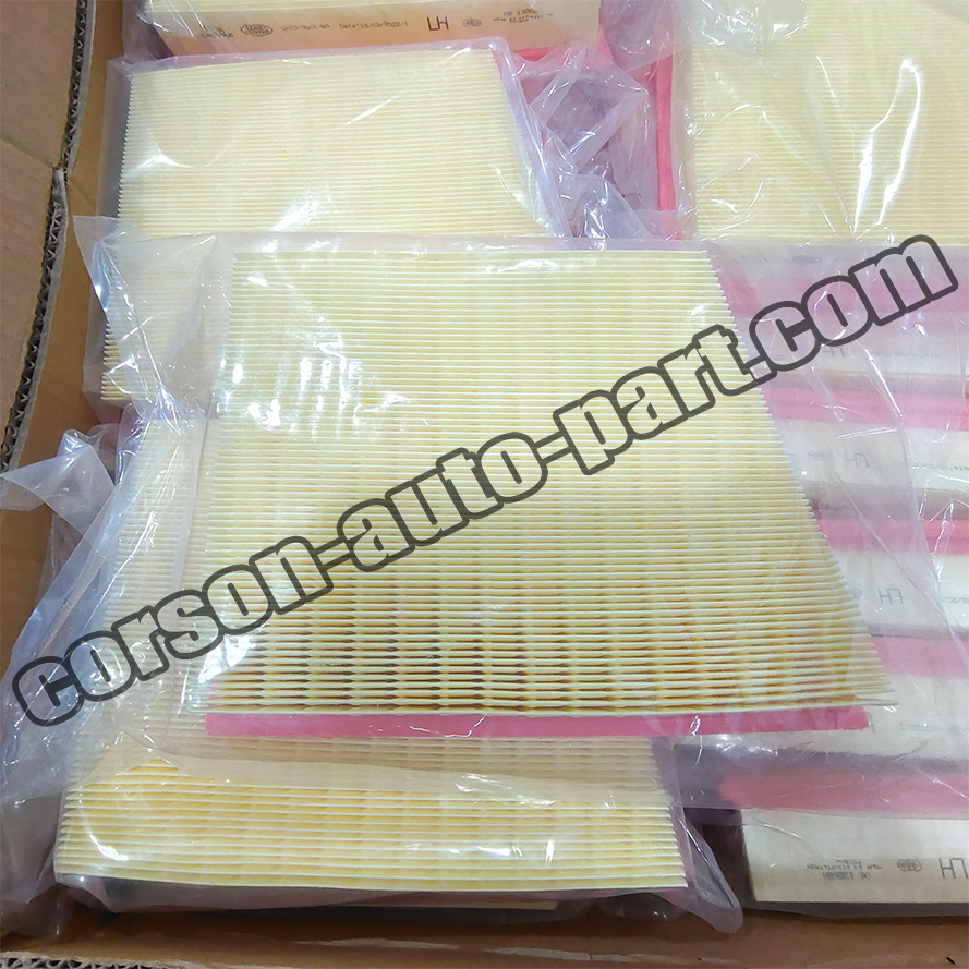 Land Rover LR092258  Air Filter